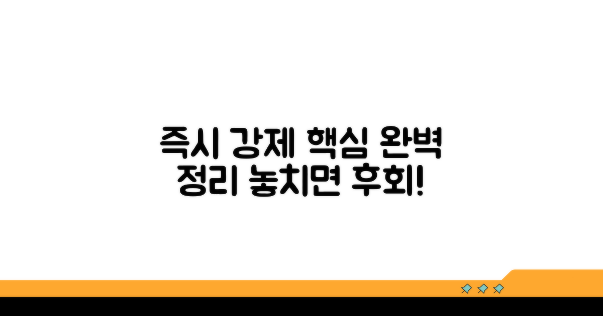 즉시강제 핵심 개념 완전정리