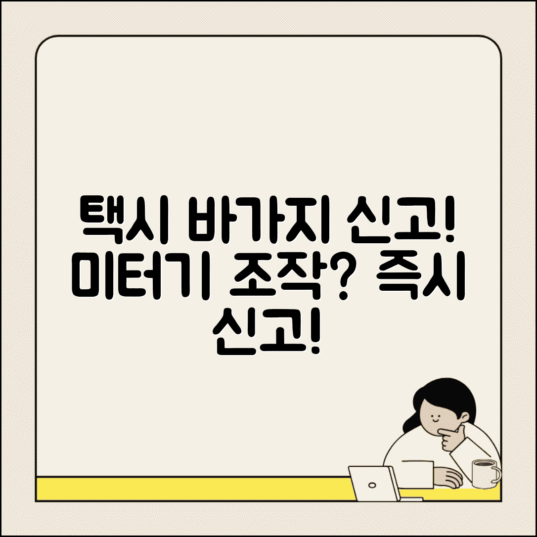 택시 바가지 요금 신고 | 택시 미터기 조작 바가지 요금 지자체 택시 신고