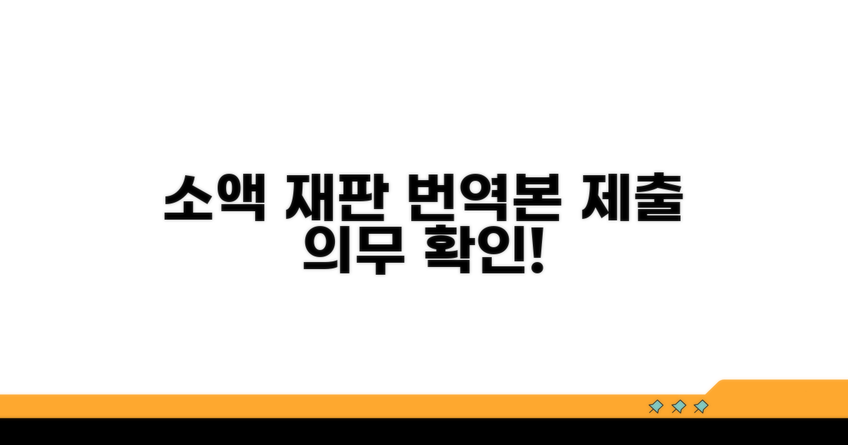 소액재판, 번역본 제출 의무 확인
