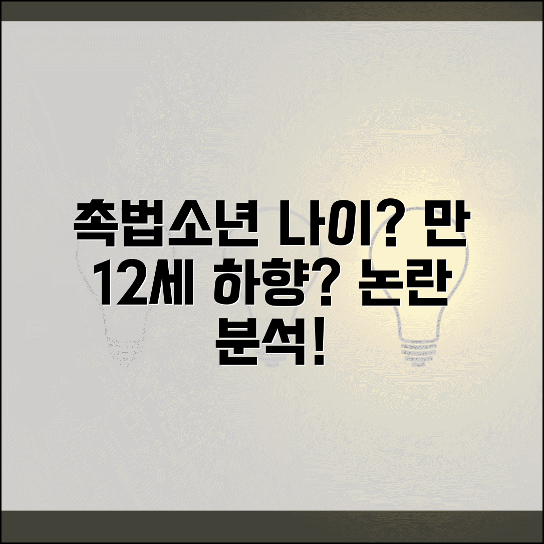 촉법소년 나이 하향 조정 논의 | 만 12세로 낮추자는 주장과 그 근거들