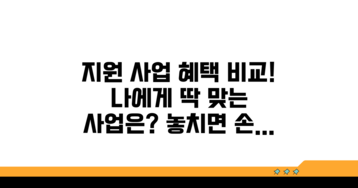 지원 사업 종류별 혜택 비교