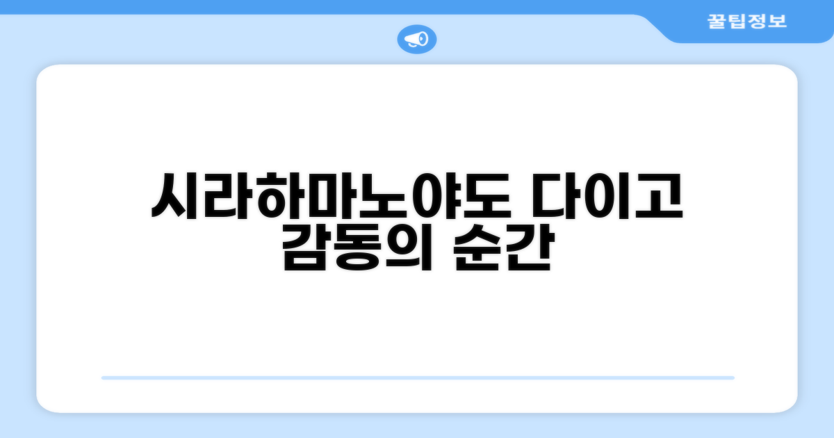 🌟 시라하마에서 만난 시라하마노야도다이고