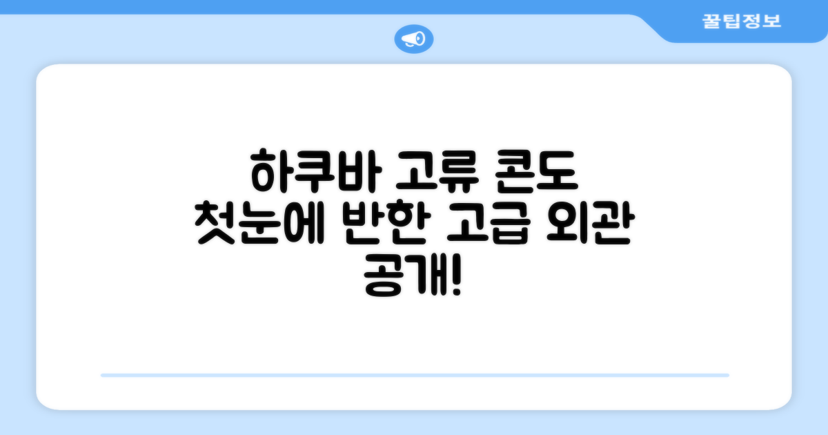 콘도미니엄 하쿠바 고류: 첫인상과 외관