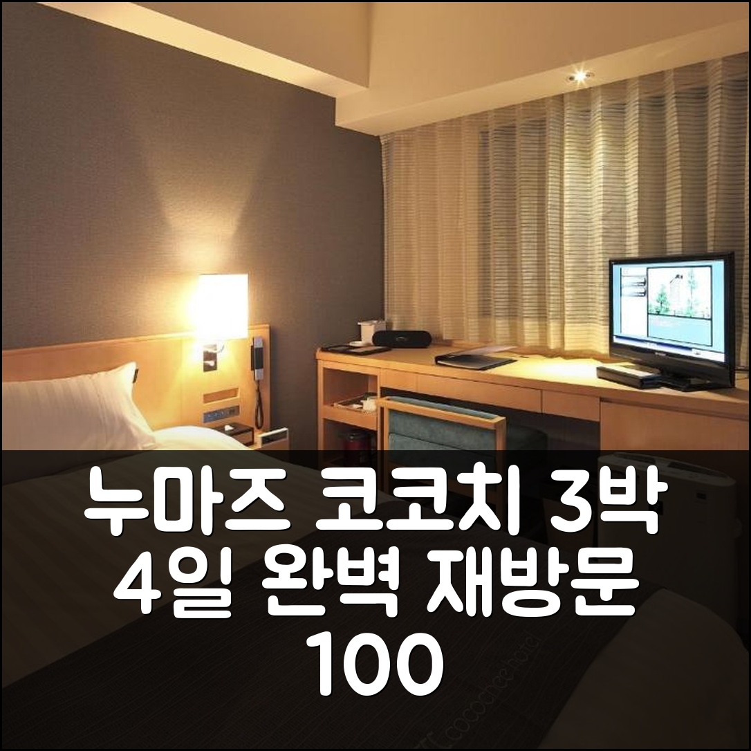 3박 4일 누마즈 코코치 호텔 숙박, 만족스러운 경험과 재방문 의사 100%