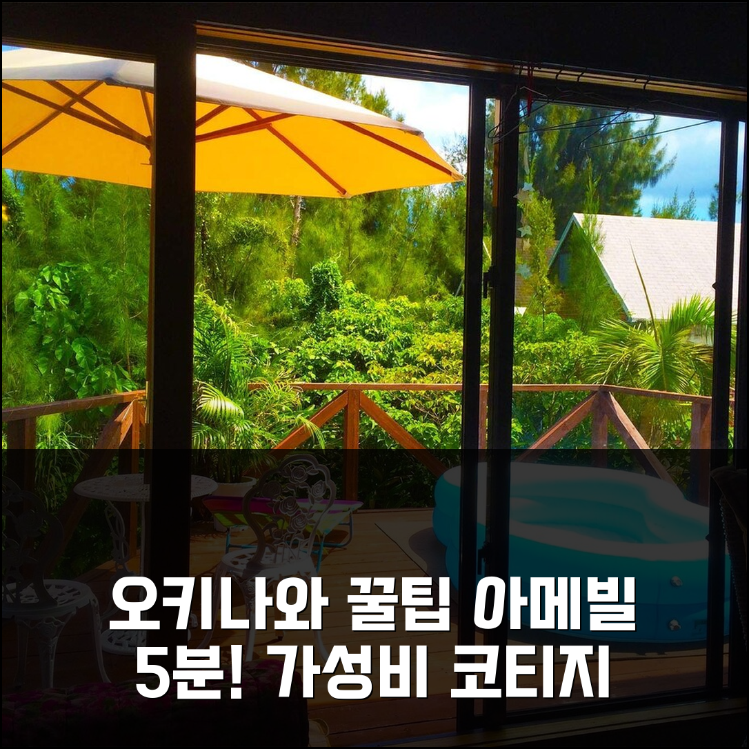 오키나와 본섬 아메리칸빌리지 5분, 스태리 포레스트 코티지 커플 3박 가성비 후기