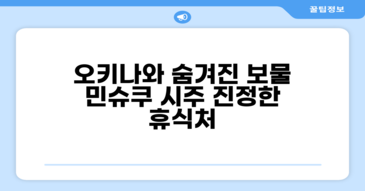 오키나와 본섬에서 찾은 보물, 민슈쿠 시주