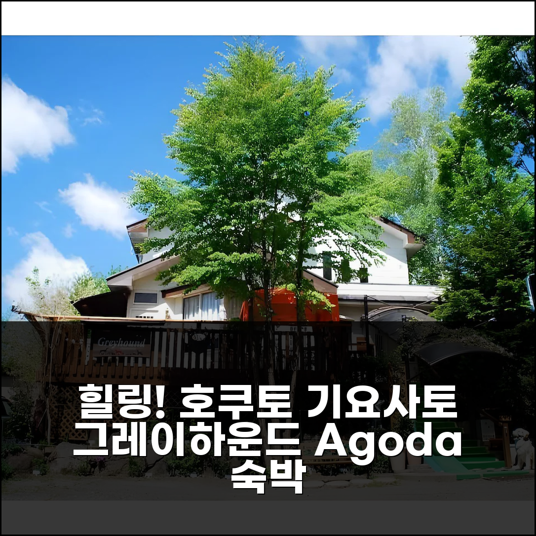 1박 2일 호쿠토 기요사토 고원 그레이하운드, 만족스러운 힐링 숙박