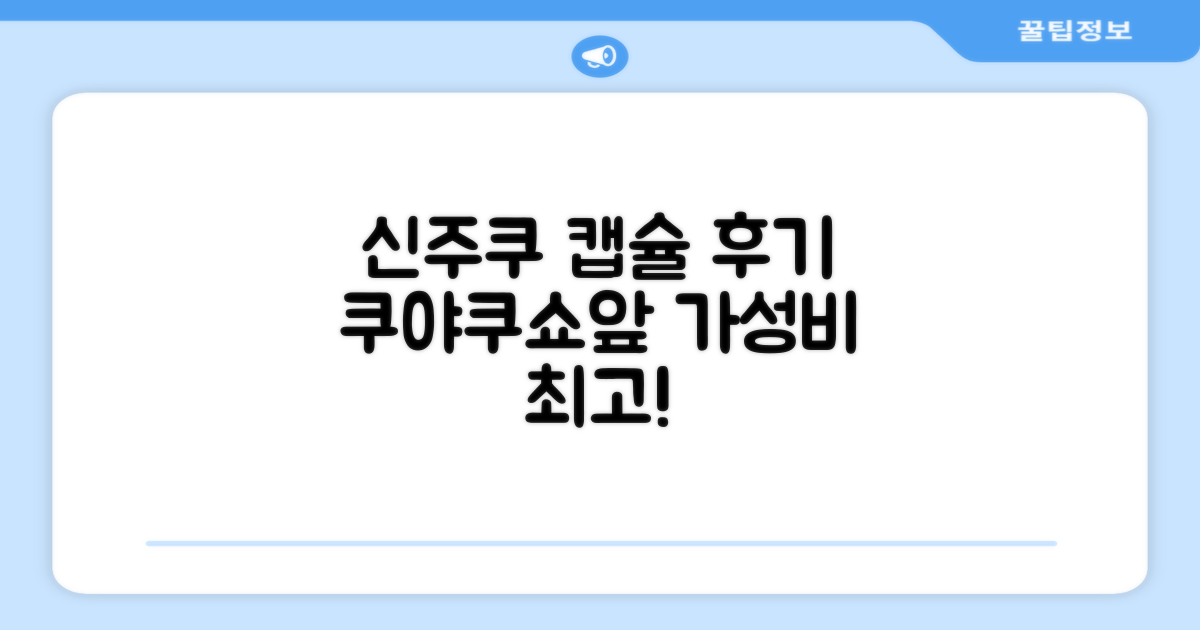 신주쿠 쿠야쿠쇼마에 캡슐 호텔 총평