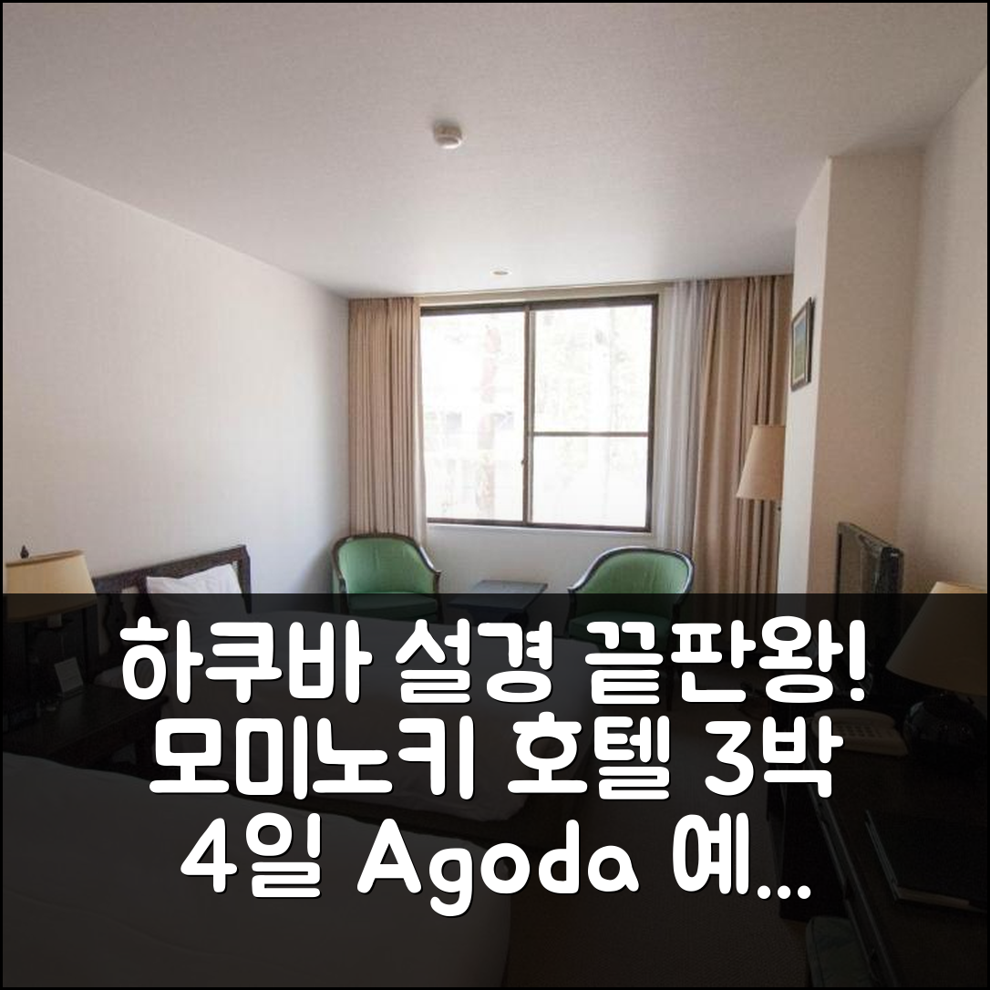 3박 4일 하쿠바 모미노키 호텔 숙박, 최고의 설경과 만족스러운 경험