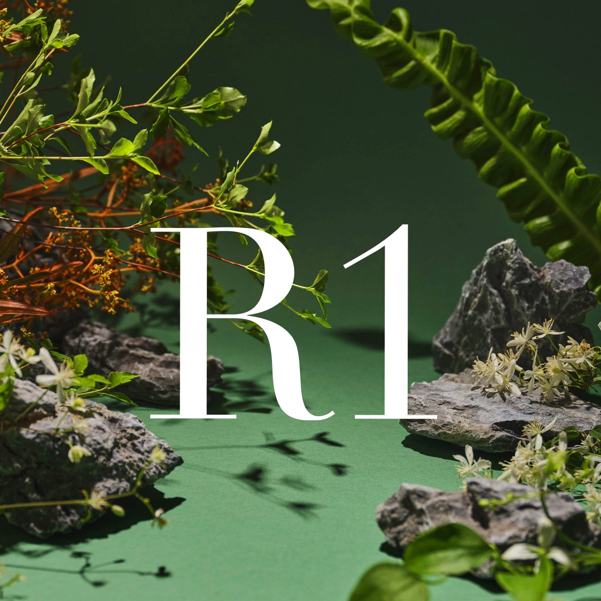 여성 질유산균 질건강 리스펙타 프로바이오틱스 비타민D 아연 30캡슐, 6개 상세 이미지 2